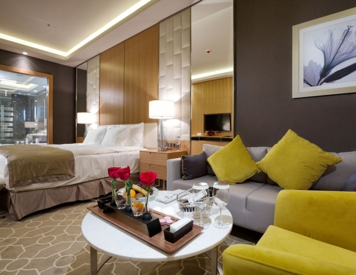 Делюкс 2-местный ТВИН с видом на город - Отель Rixos Krasnaya Polyana Sochi / Риксос Красная Поляна Сочи